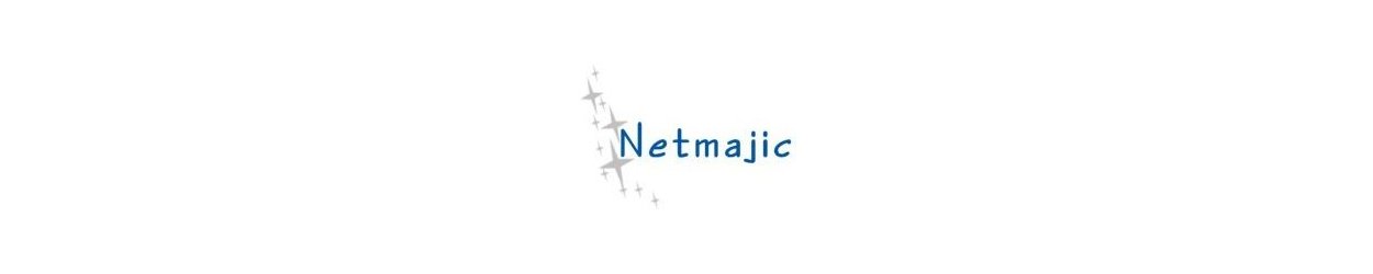 Netmajic logo. Prior Lake, Minnesota